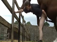 Man loves fucking a horse with his dick in a special zoophilia home video